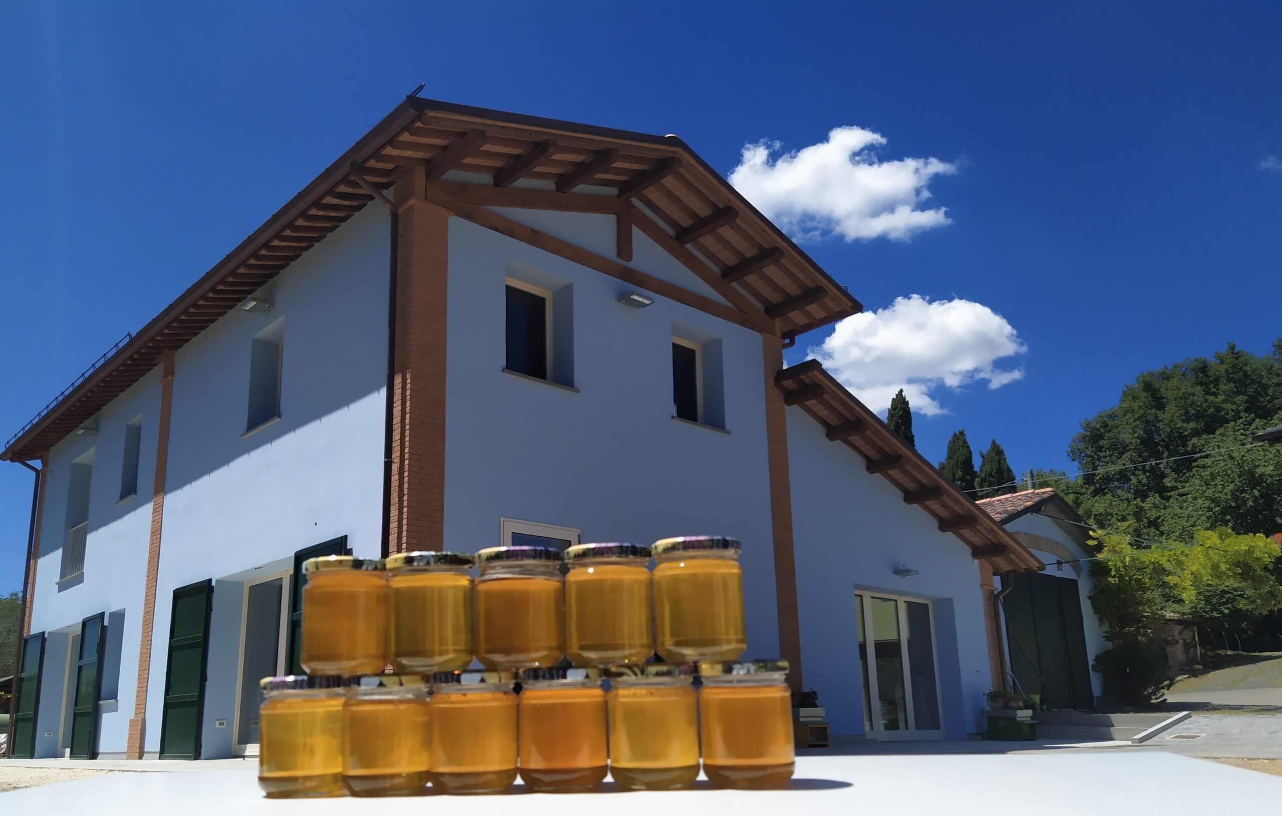 Mieli e Azienda
